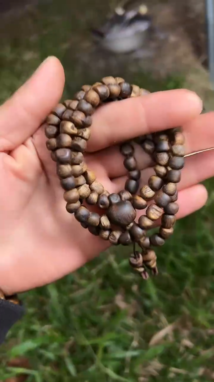 【闪购商品】沉香手串99沉23克白露多圈树丁