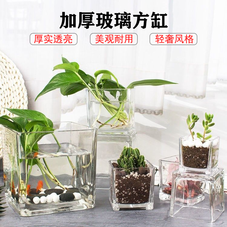 加厚玻璃方缸高透明铜钱草绿萝水培花盆花瓶玻璃器皿定植插花摆件