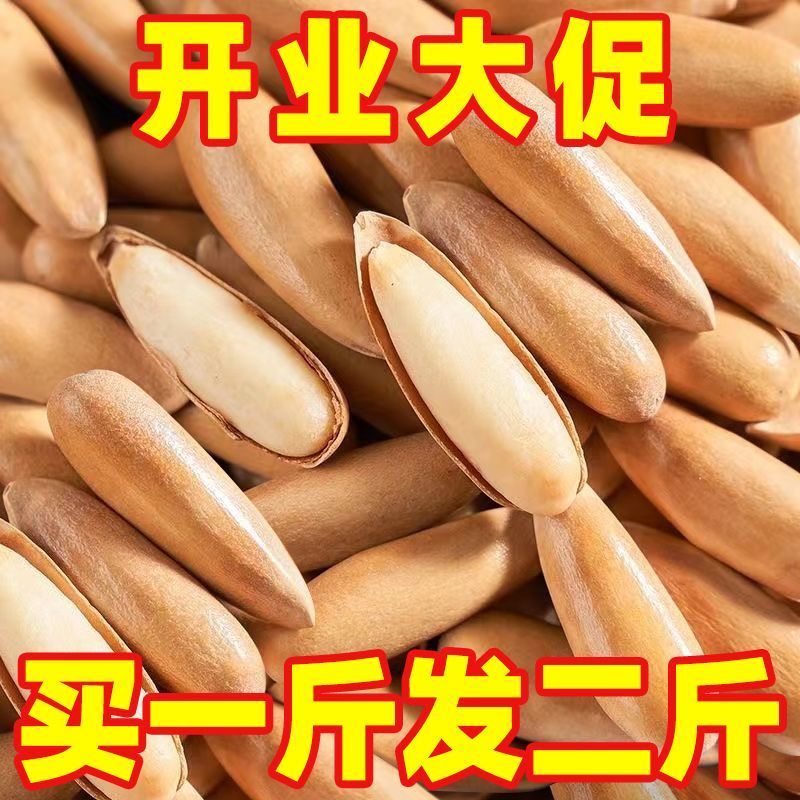 【阿富汗新货】巴西松子含罐大颗粒袋装长粒手剥松子坚果9g炒货零食