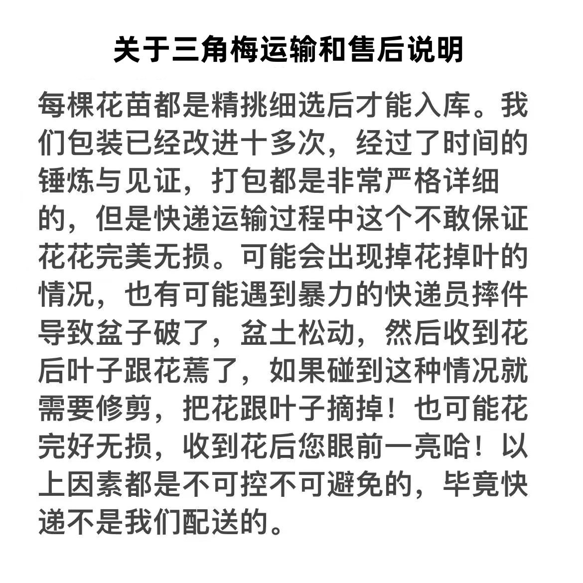 直播一物一拍马斯 米罗 粉可爱 粉天使 水九月 暗斑夕阳红 粉红豹
