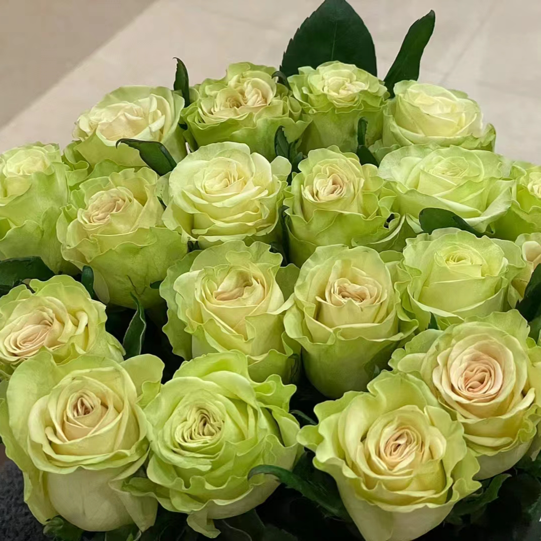 琉璃翠玫瑰：收到花第一时间醒花，不会联系客服教学视频。