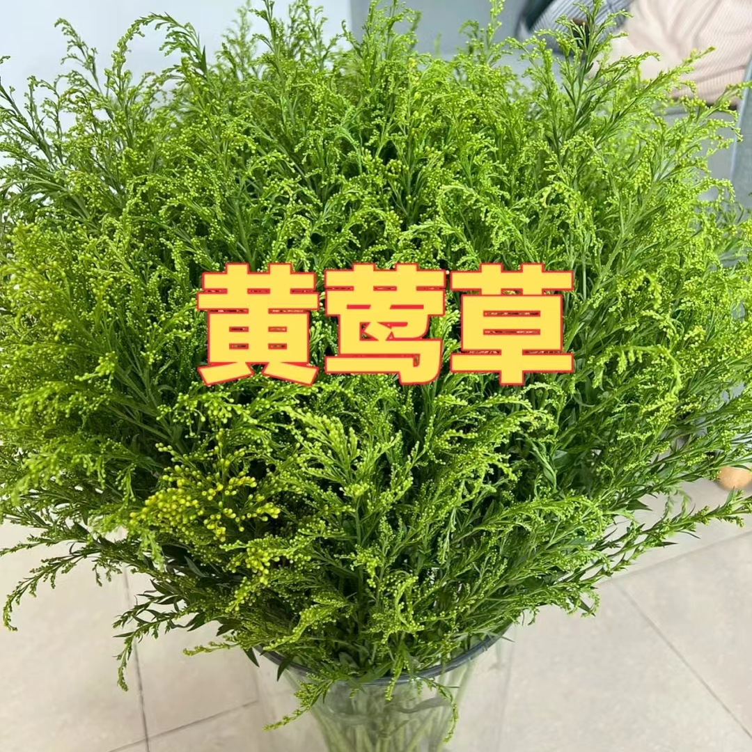 黄莺草鲜切配草：收到花第一时间醒花，不会联系客服教学视频。