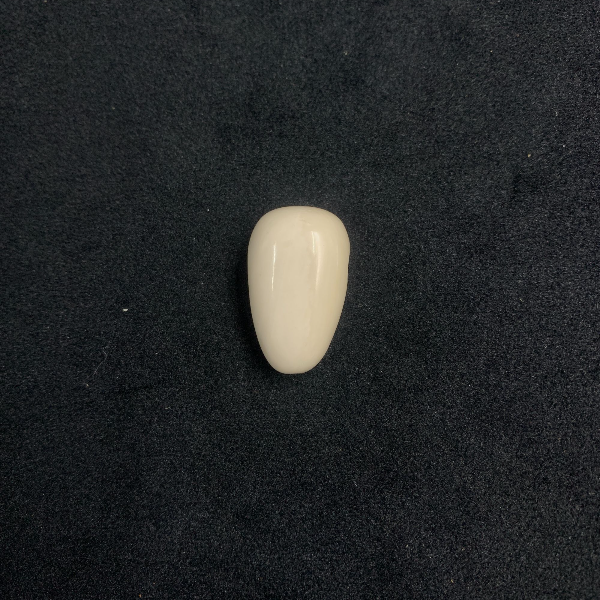 H5160天然猛犸牙一体三通 支持鉴定 假一罚四