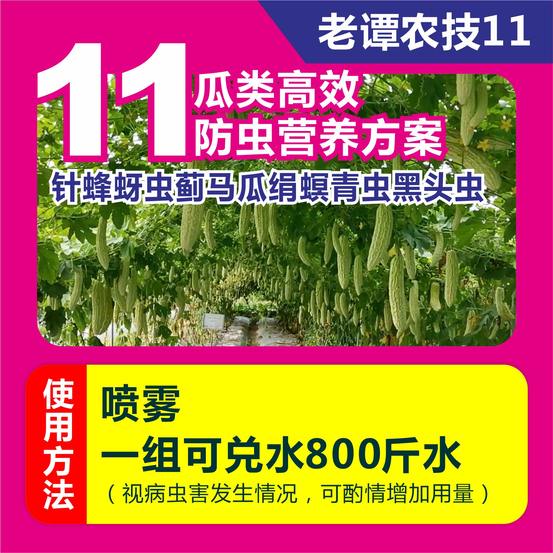 老谭农技11瓜类防虫营养方案黄瓜苦瓜水瓜吊瓜毛节瓜丝瓜南瓜