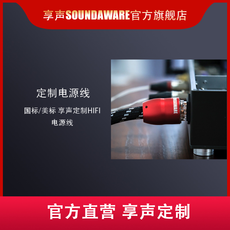 SOUNDAWARE/享声SPC-01定制发烧hifi电源线美标国际转盘解码功放