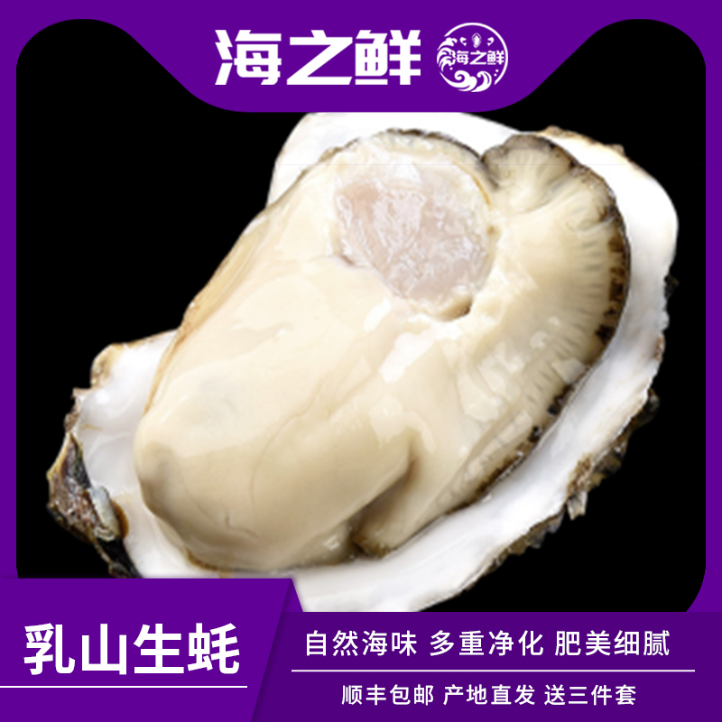 【海之鲜】4-6两 正宗乳山生蚝 源产地直发 鲜活到家