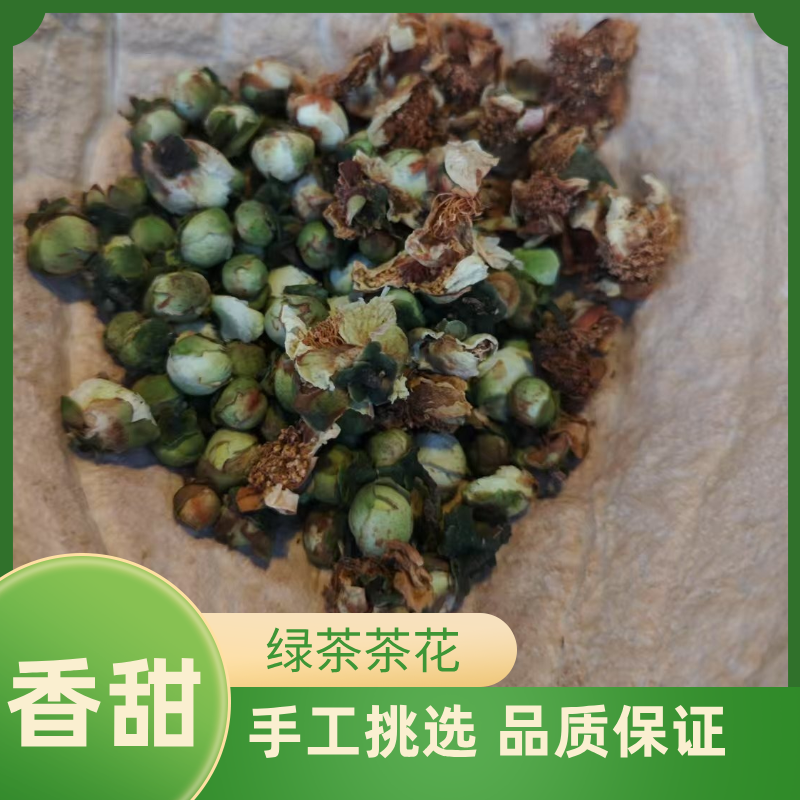 嘉木青绿茶茶花近海海岸茶树花精选新货