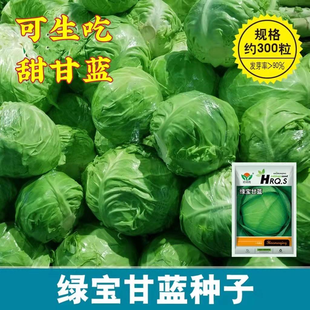 四季播种水果甘蓝种子莲花白种籽卷心菜包菜种子农家高产蔬菜种子