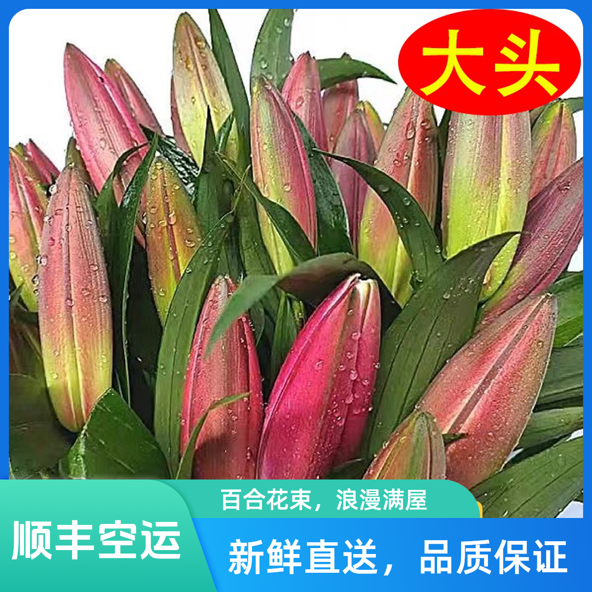 顺丰空运包邮新疆包邮香水百合花粉白红黄百合鲜花云南鲜花批发