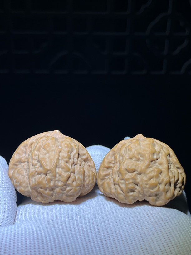 44mm头货全品三角蛙饼