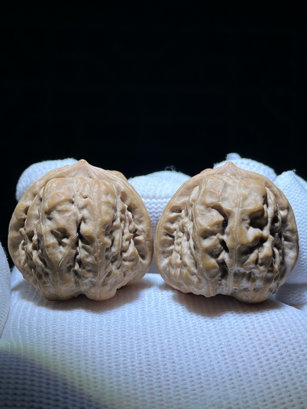 35mm头货深开背怀柔立体金蟾蛤蟆头