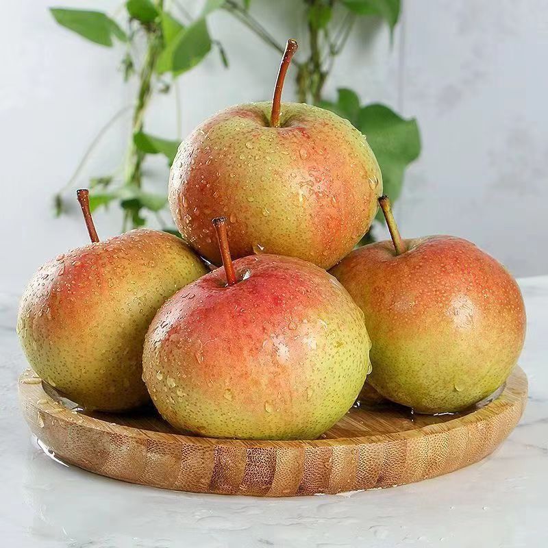 东北苹果梨水润多汁3斤5斤包邮