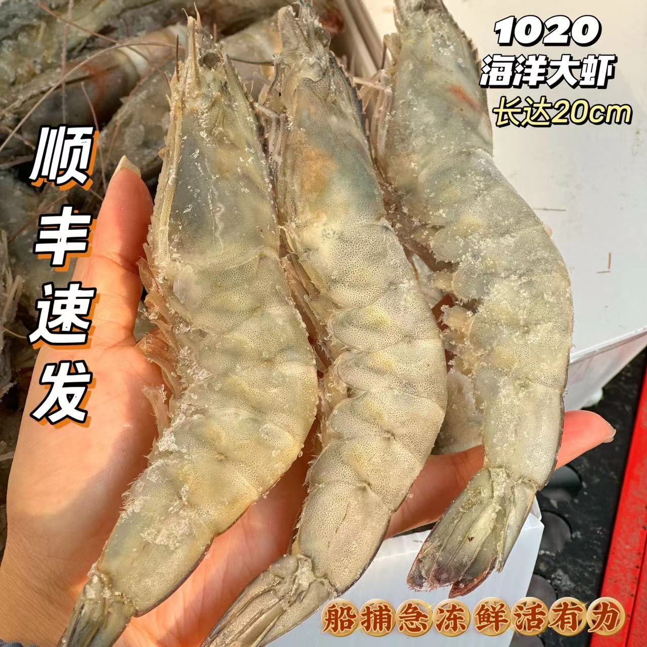 稀有品1020规格海洋大虾约25-35只左右盐冻大虾约3.3斤连云港海鲜
