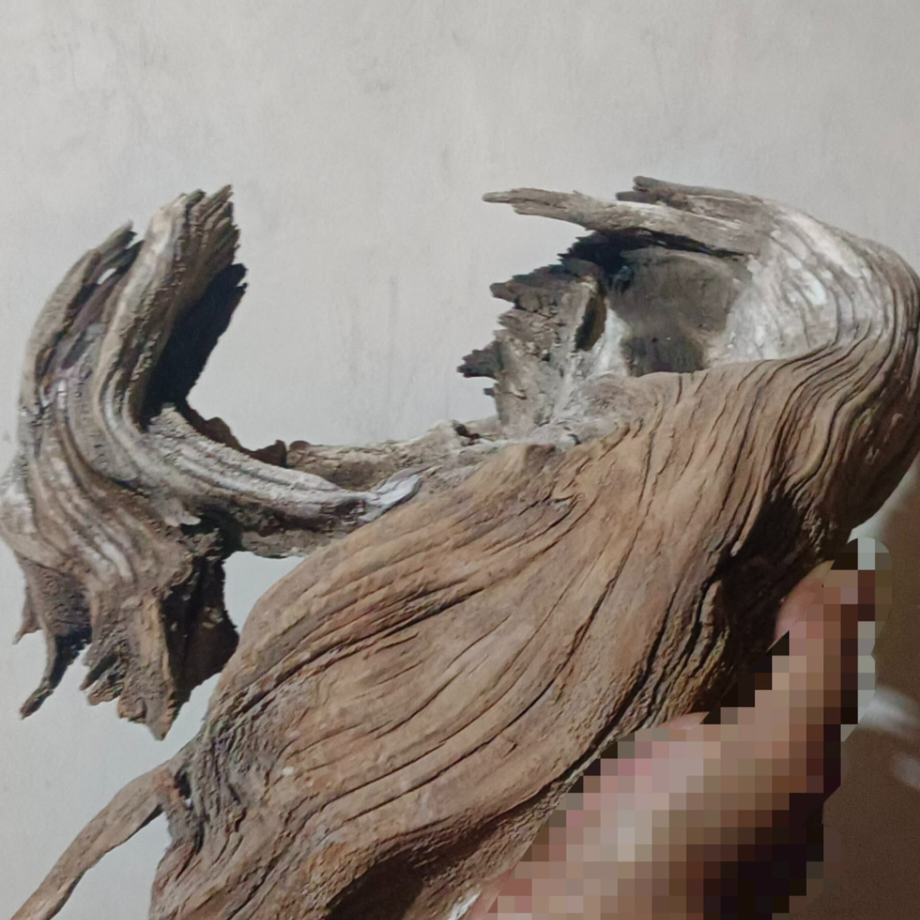 （非图片款2号）工艺品老物件雕刻崖柏根雕老料风化手工复古精雕