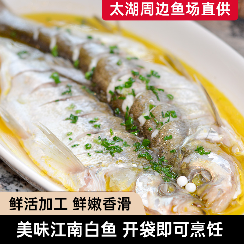 宠粉江南白鱼免洗免杀大白刁400-500克/条鲜活冷冻美味