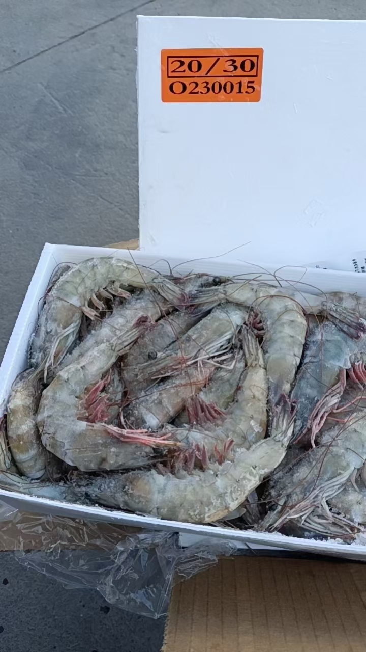 大连直销盐冻红爪海虾20－30 质量保证