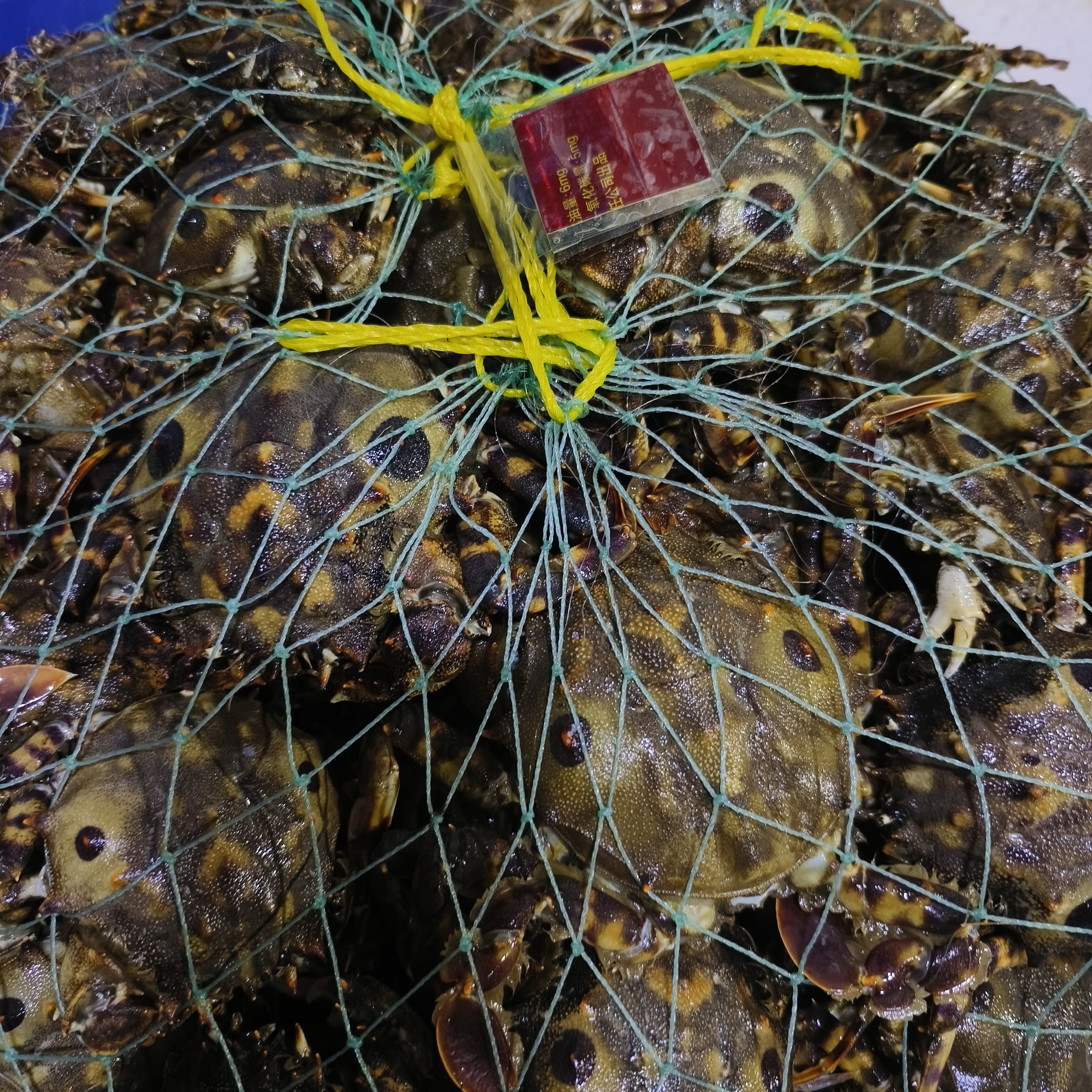 虎头蟹 福利【保鲜不保活】二斤起 单只净重2-5两