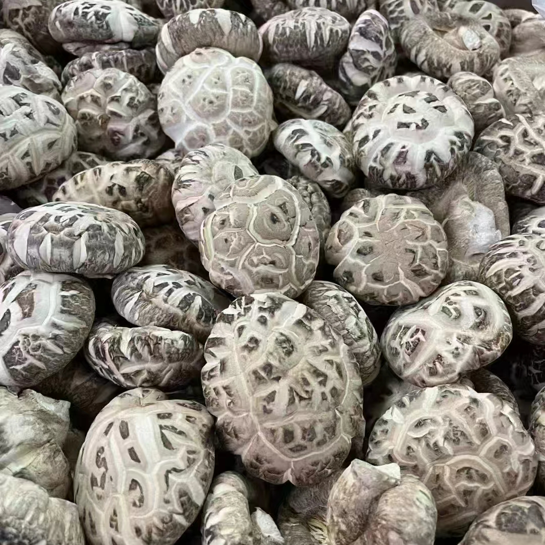 精选  厚肉 靓花菇（胶）