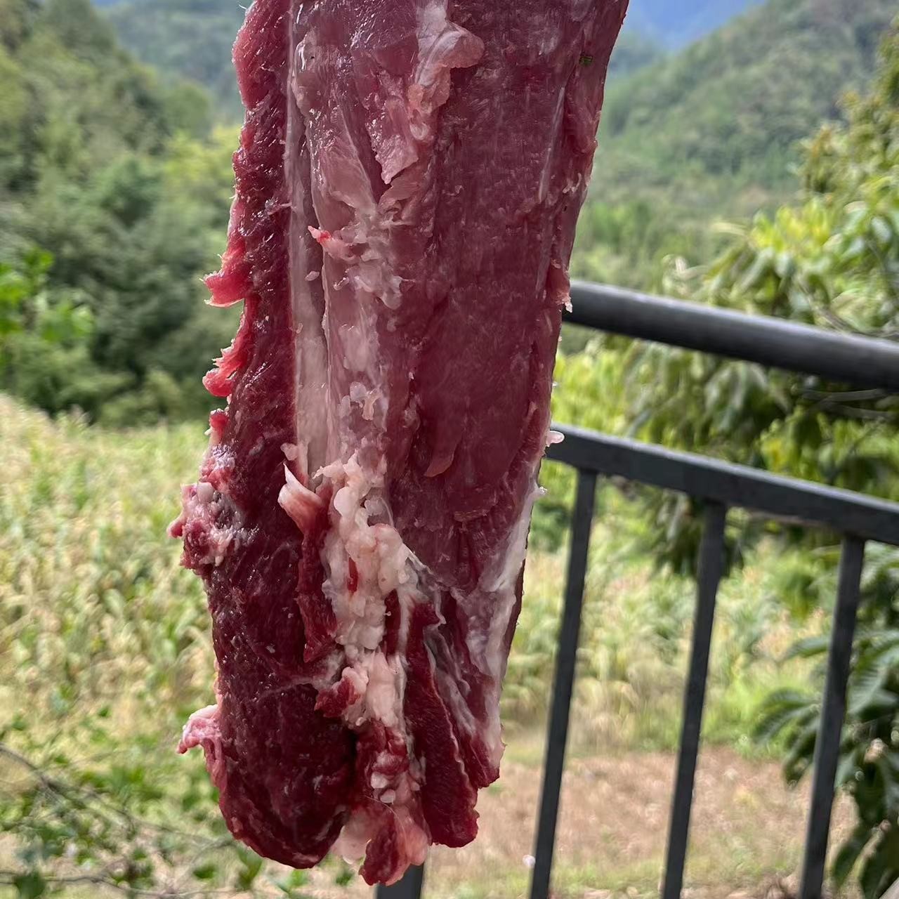 农村土猪鲜肉，纯粮食喂养，一年半纯玉米，以直播间称重为准