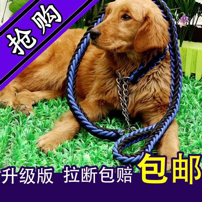 AS76中型大型犬狗链子狗狗牵引绳遛狗绳金毛拉布拉多P链狗绳宠物