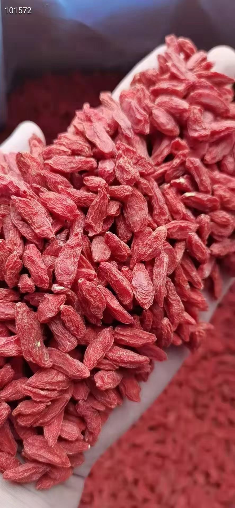 枸杞500G干枸杞大颗粒500克装