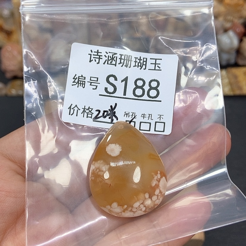 【闪购商品】硅化珊瑚（珊瑚玉）颈饰未镶嵌南*S188