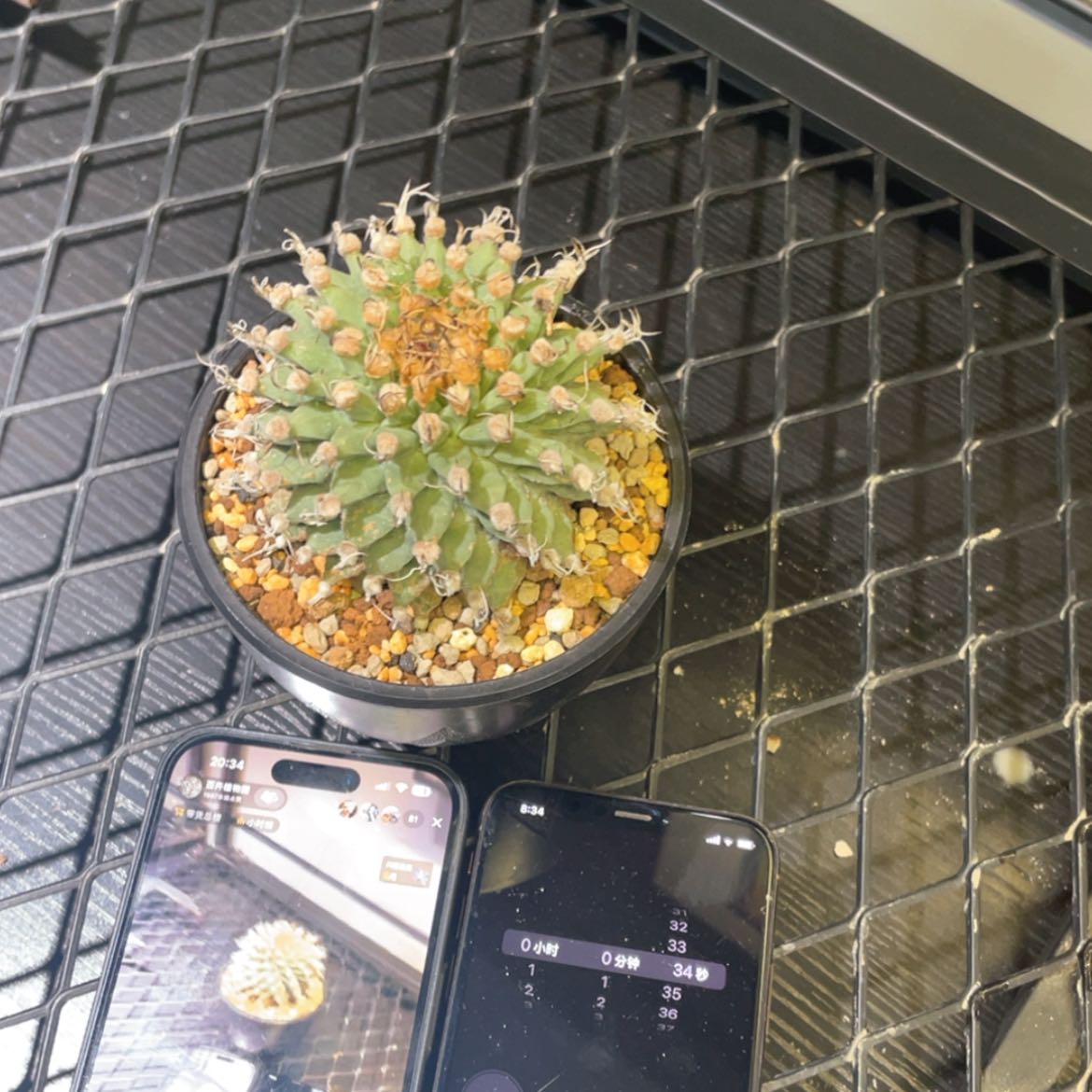 【闪购商品】哈哈哈