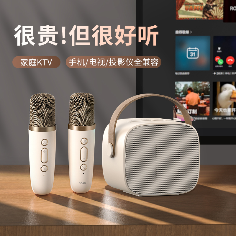 无线蓝牙话筒音响户外音箱k歌露营麦克风儿童家用家庭ktv一体唱歌