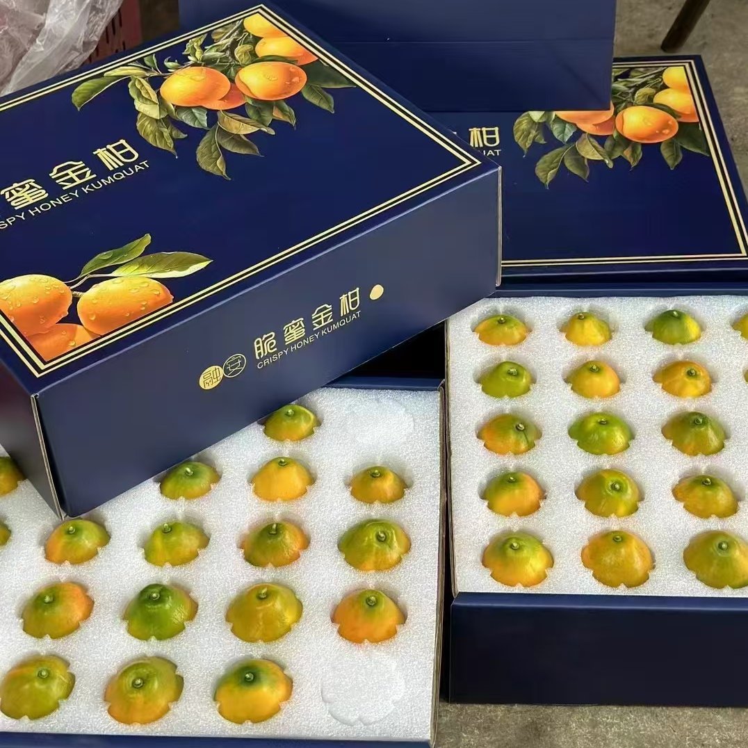 融安脆蜜金桔自家果园种植现摘现发