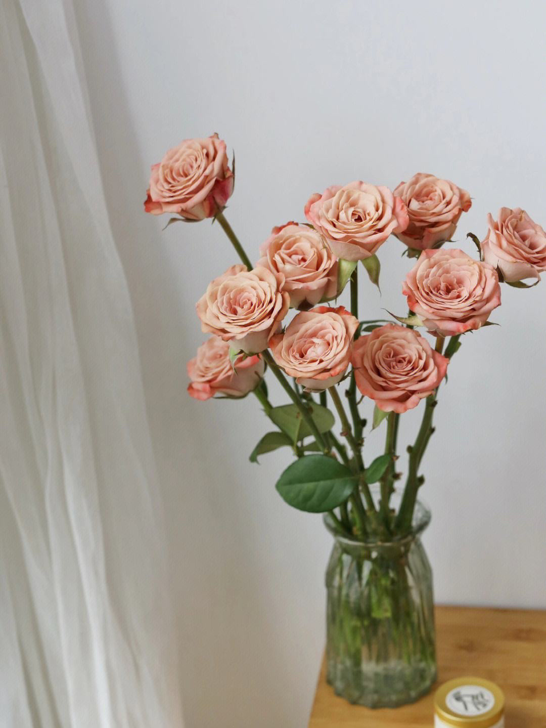 单头玫瑰卡布10只装中花