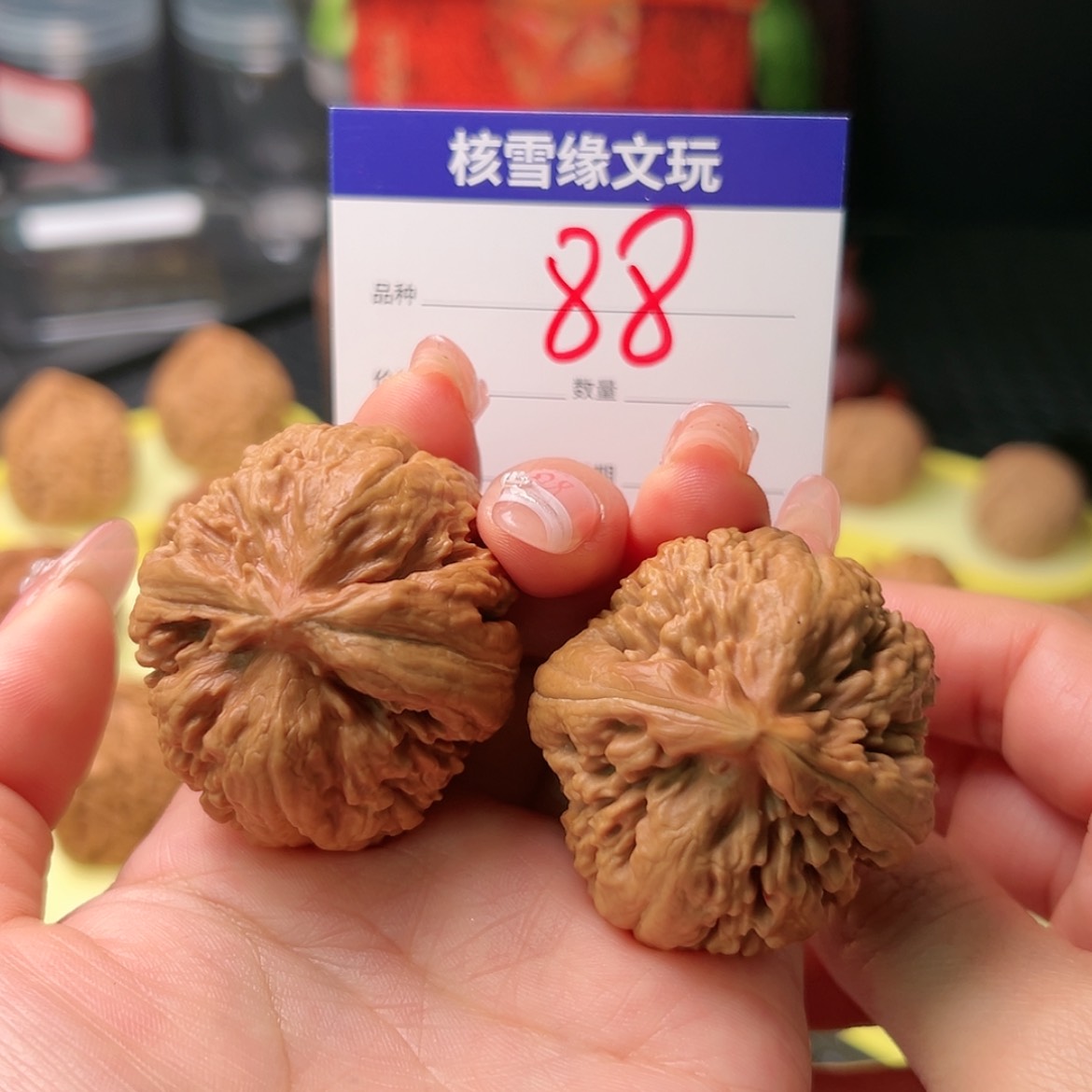 【闪购商品】桃核吊坠霸王龙4.1➕