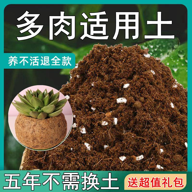 【送礼包】多肉适用土疏松透气盆栽绿植专用室内植物营养土肥料