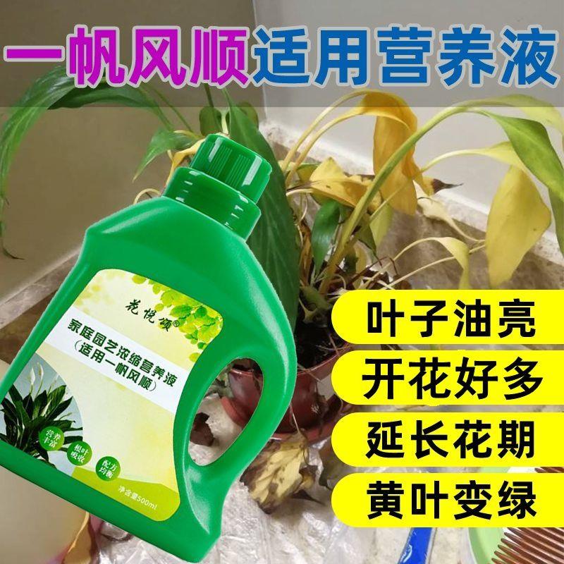 【拍一发三】一帆风顺营养液通用促生根治黄叶室内盆栽绿植专用肥