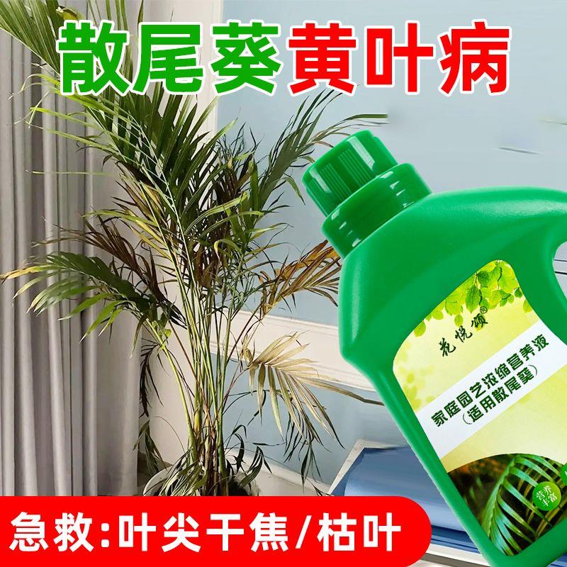 【拍一发三】散尾葵营养液通用促生根黄叶急救室内盆栽绿植专用肥
