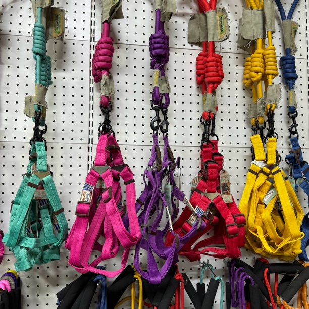 宠物用品孤品外贸尾单默认微瑕