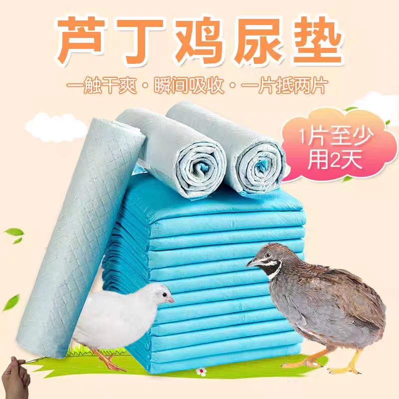 宠物尿垫芦丁鸡育雏狗狗猫咪仓鼠加厚尿垫尿片除臭透气隔尿垫锁水