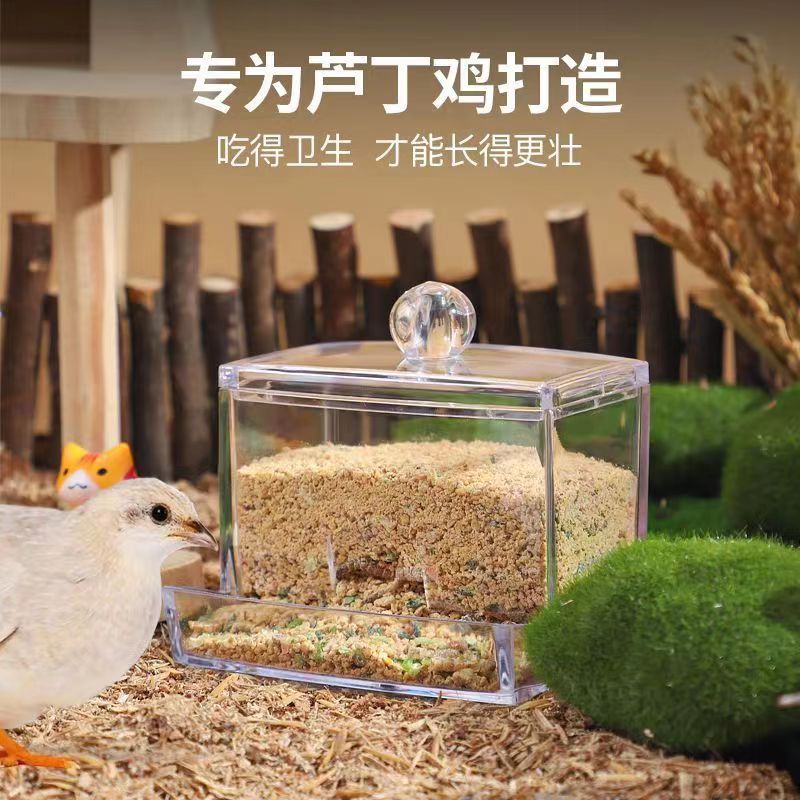 芦丁鸡亚克力喂食器小鸡育雏食槽自动喂水器鹌鹑鸟鹦鹉水壶用品