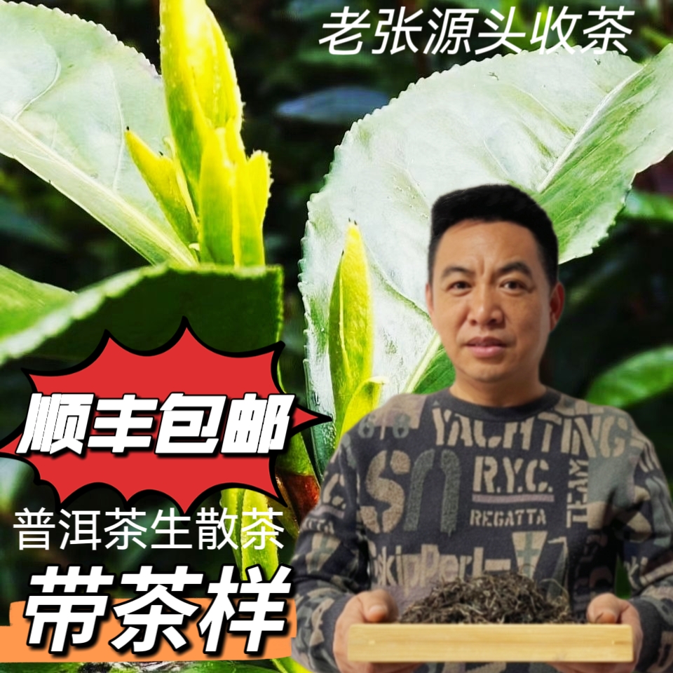 茶农777号2023年易武百茶园古树生茶100g散茶带茶样树龄320年左右