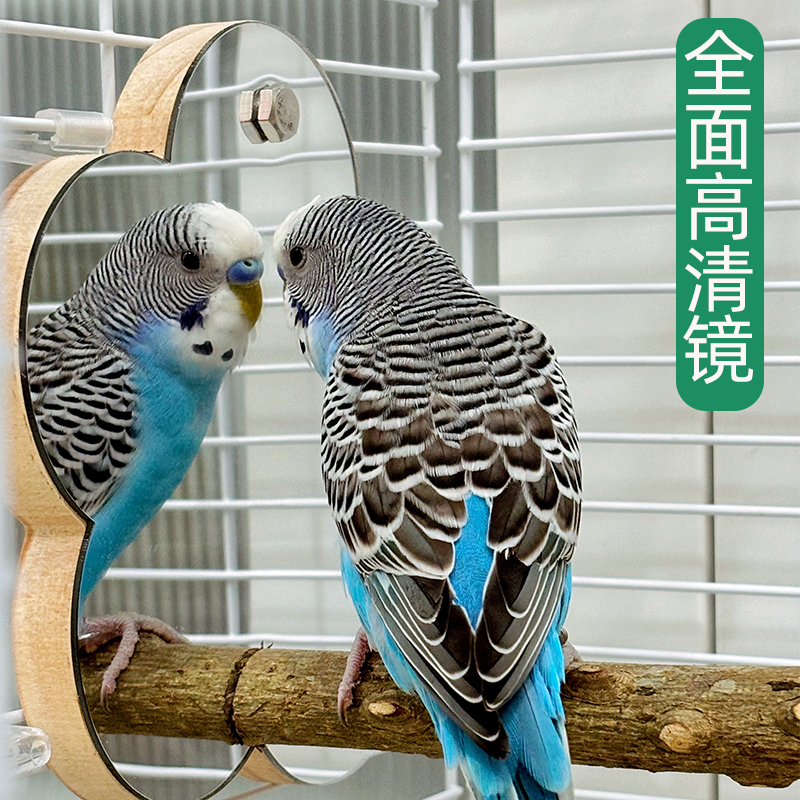 鹦鹉镜子花椒木站架玩具玄凤虎皮牡丹鸟笼站杆站杠鸟用镜子小站台
