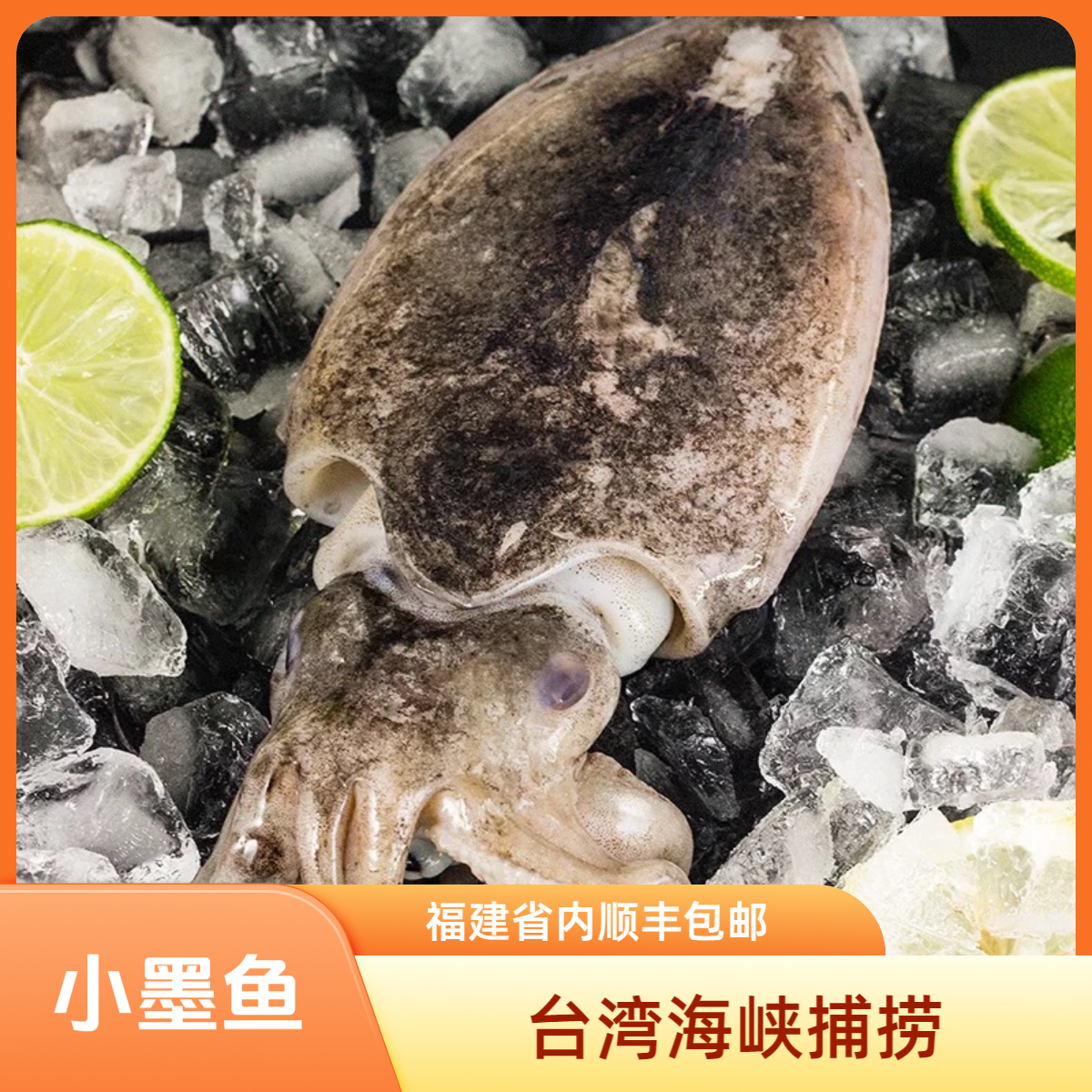 【海祥海鲜】 台湾海峡野生小墨斗 墨鱼 顺丰直发 福建省内包邮