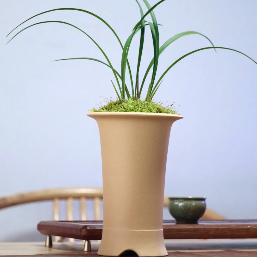 花盆高盆精品兰花盆芝麻段黄金段春兰蕙兰墨兰建兰盆景盆宜陶世家