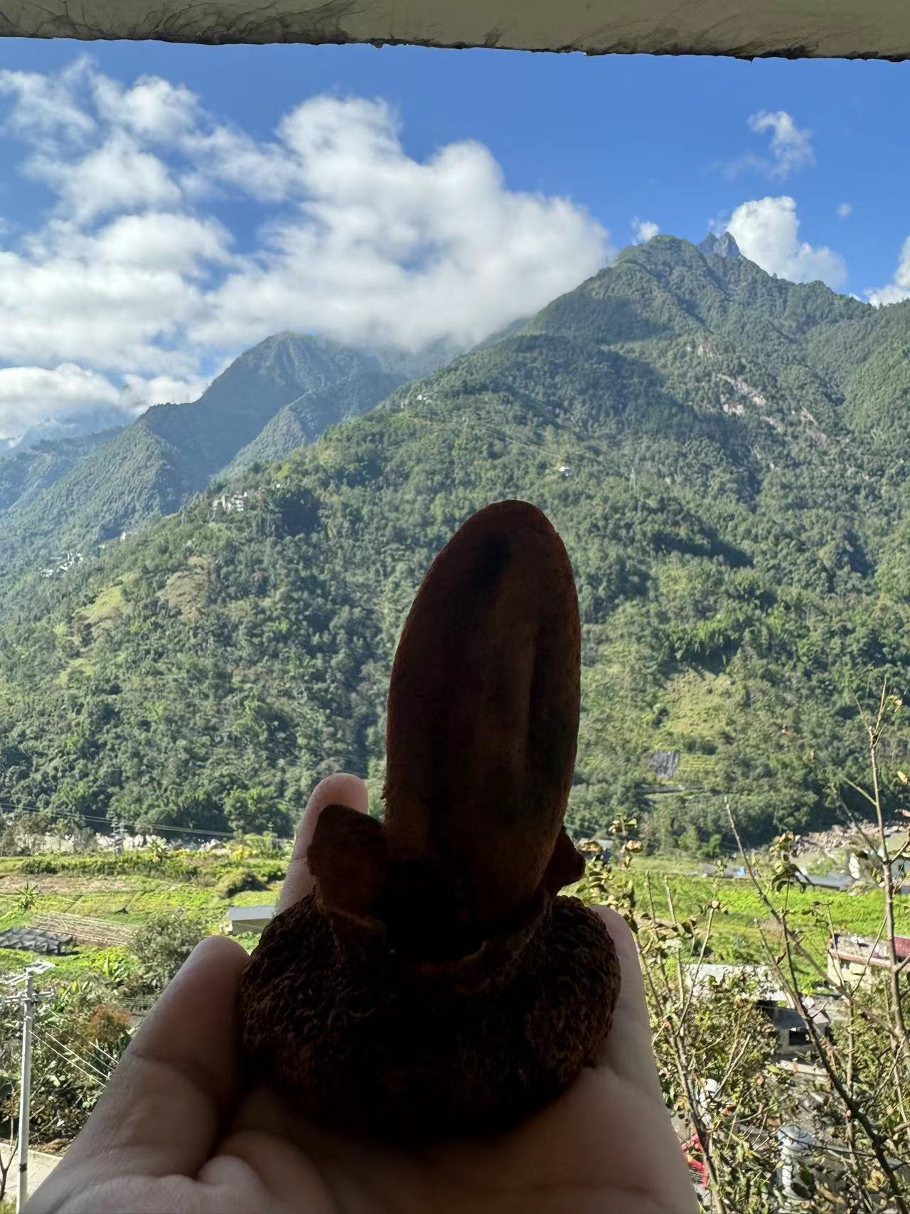 云南生猛山货 250克 男生泡酒好物