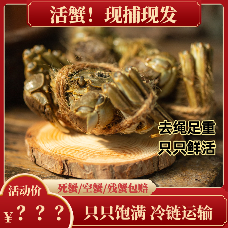 【活蟹现发】全母蟹 2.6-2.3两 8+4只苏州精养大闸蟹肥黄流油礼盒装