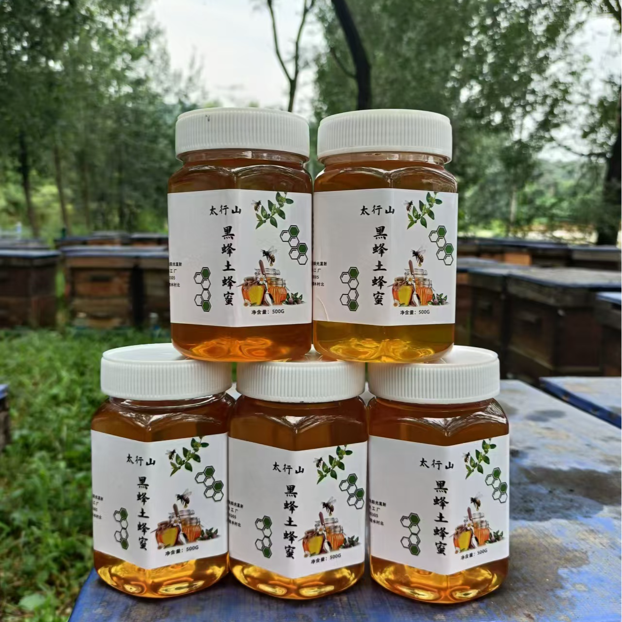 【小马专属】太行山土蜂蜜500克/瓶   自然成熟蜜营养健康