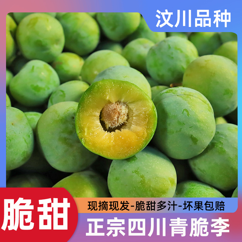 【脆甜爽口-坏果包赔】正宗四川青脆李汶川品种脱骨李子新鲜水果