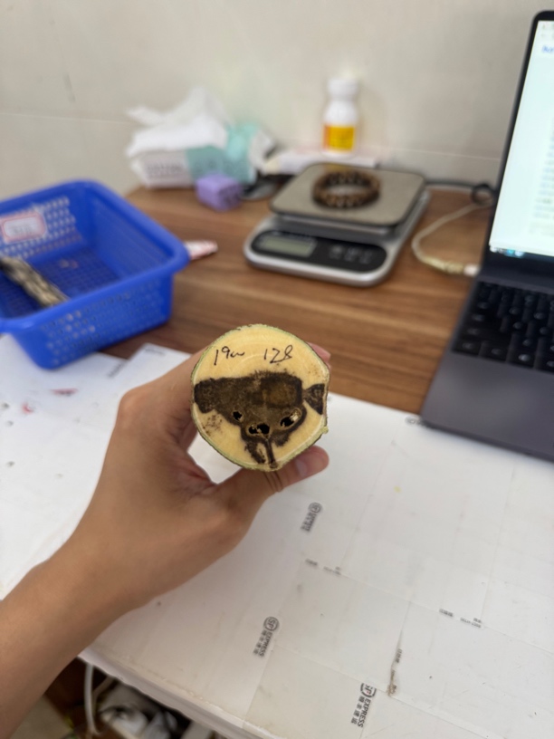 diy 定制 奇楠沉香