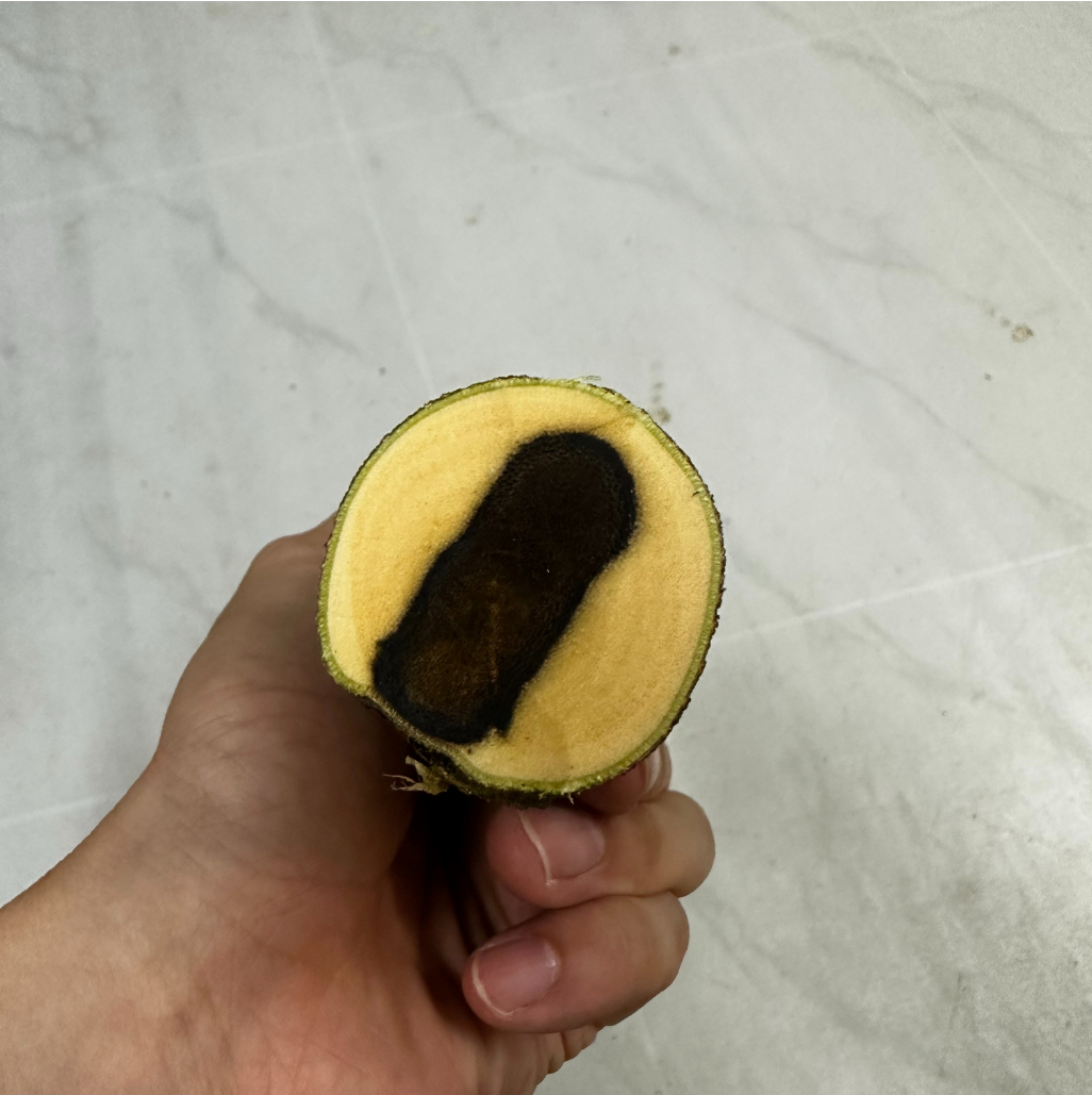 DIY 定制 奇楠沉香 多样性发货数量1