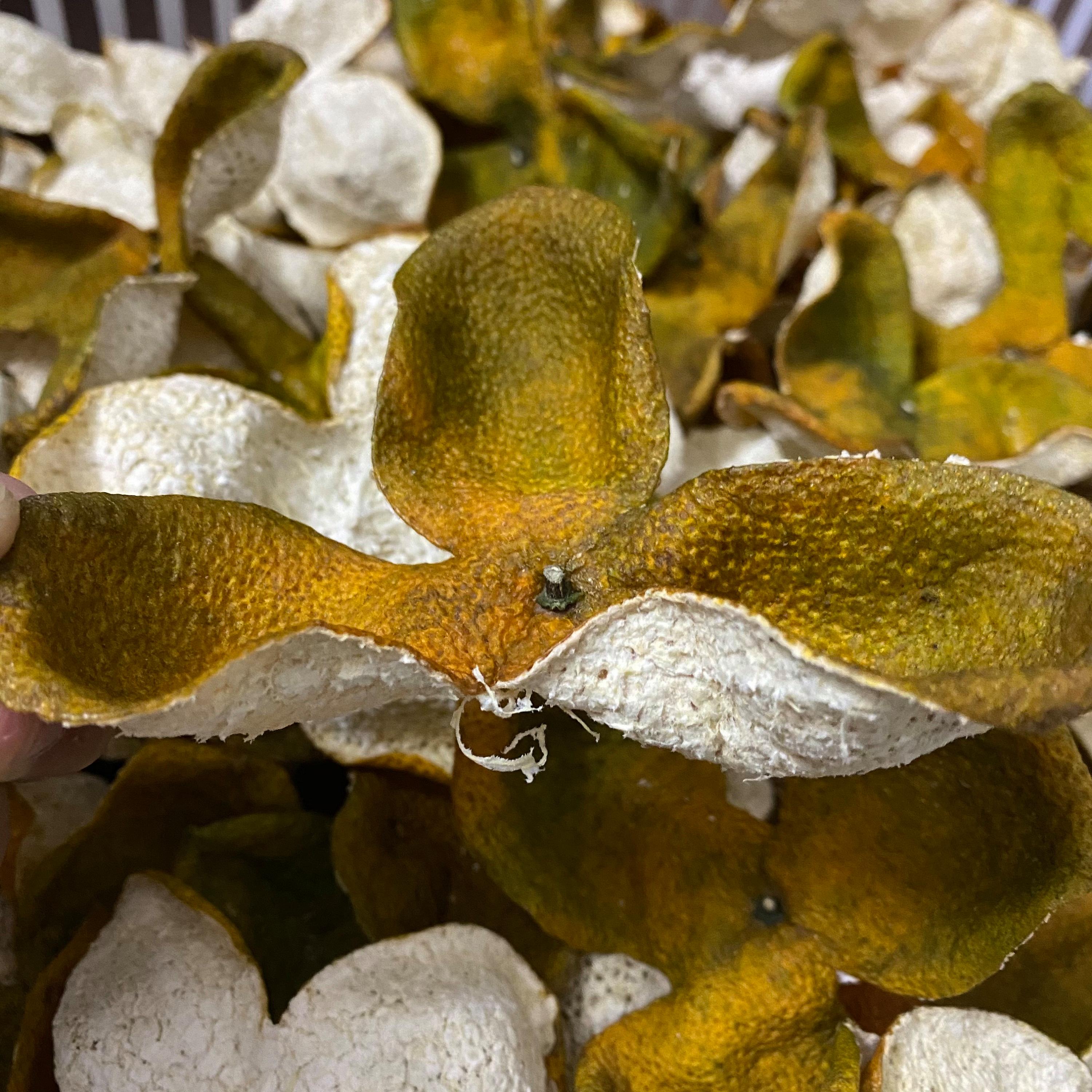 2024年新会柑皮东甲黄盆围二红大红皮冬后皮