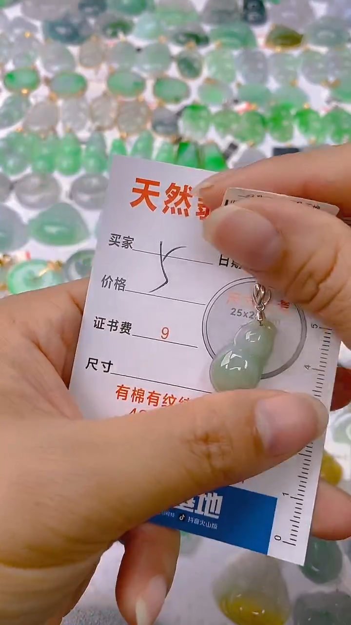 【闪购商品】翡翠颈饰银S925镶嵌1