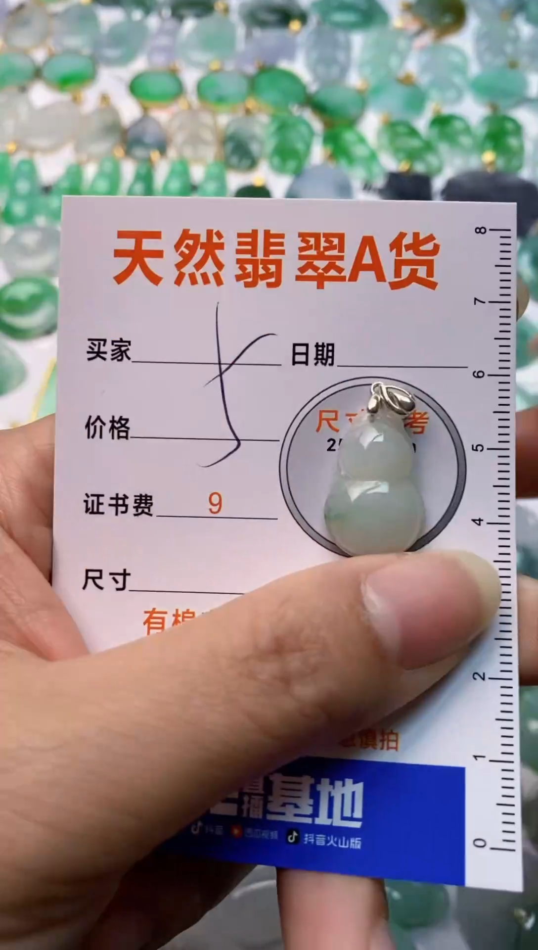 【闪购商品】翡翠颈饰银S925镶嵌1